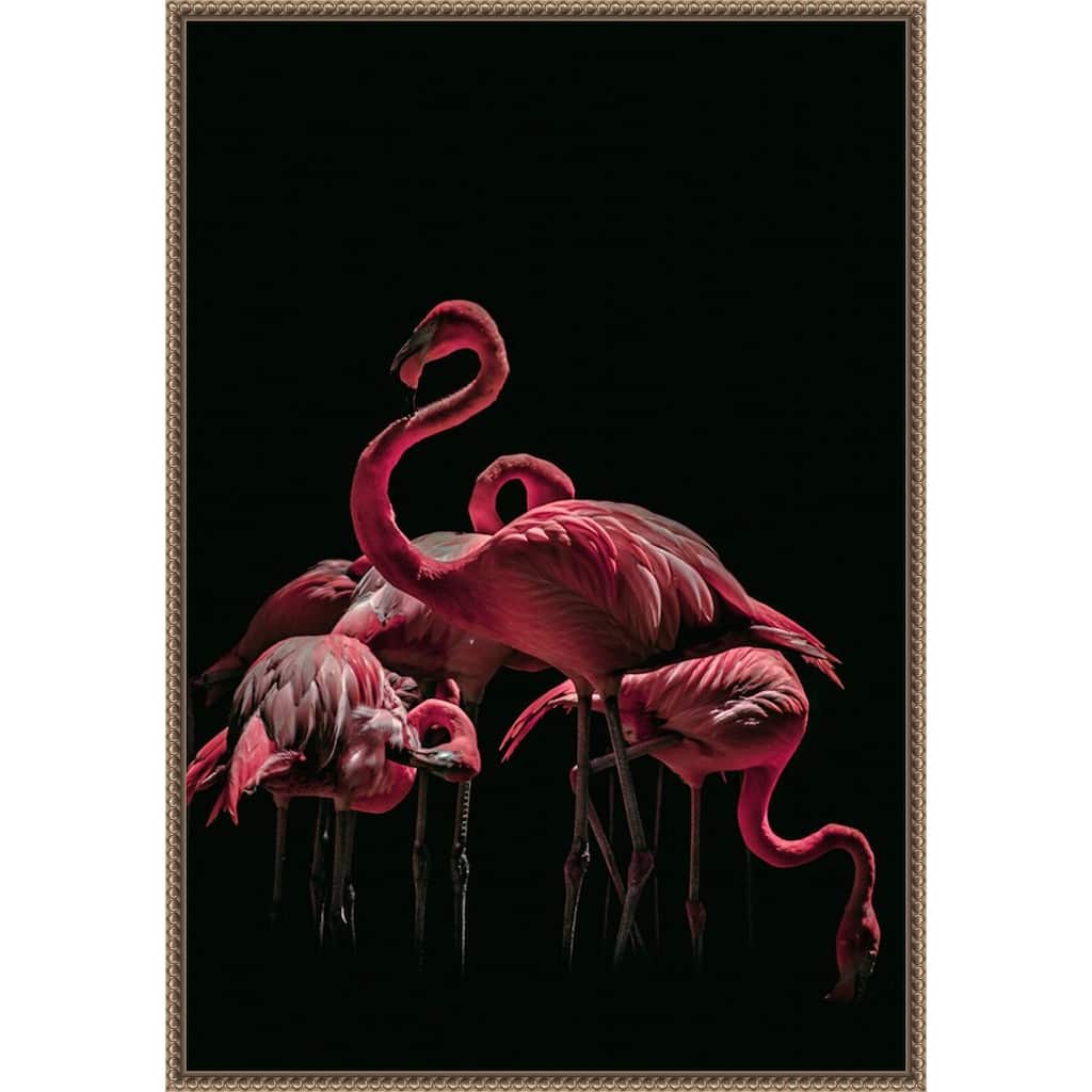 Bird 68 by Rachel Lee 3 Birdies Studio Framed Canvas Wall Art Print