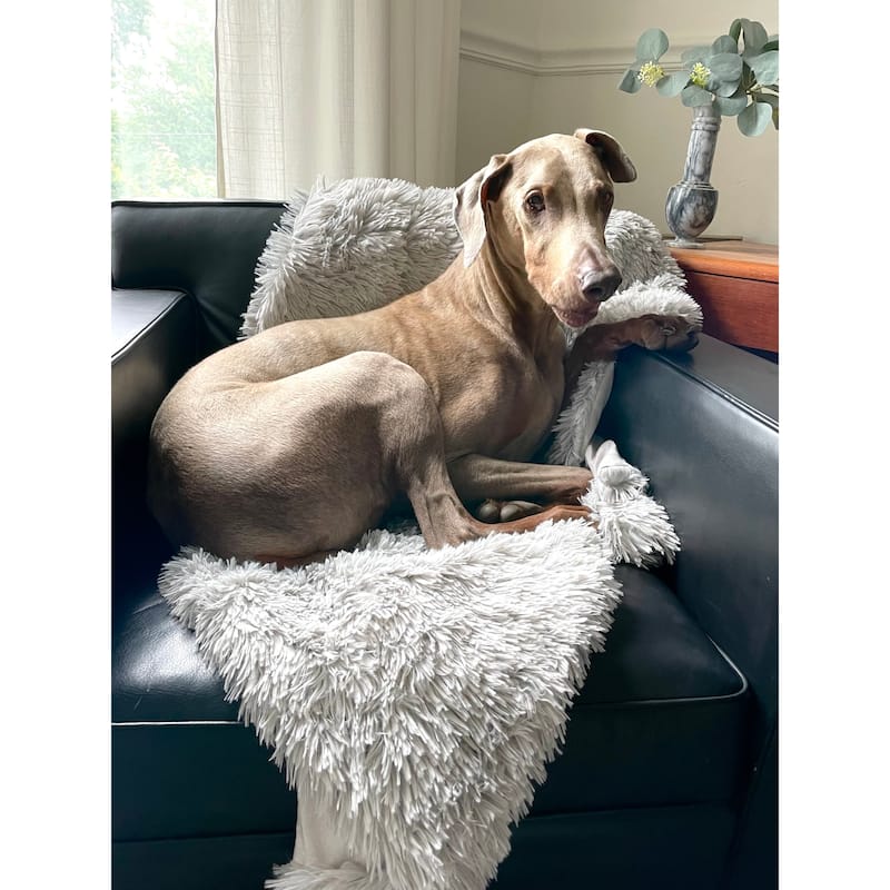 Laurel & Mayfair Grey Shaggy Faux Fur Throw, 50x60"