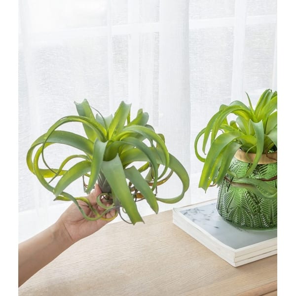 tall planter pots indoor Campania Coin Pot Planter, Tall, Set of 4 - 8416-23904
