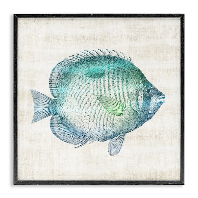 Stupell Fish Impression Sea Life Framed Giclee Art Design By Susan Arnot - 24 x 24 - Black