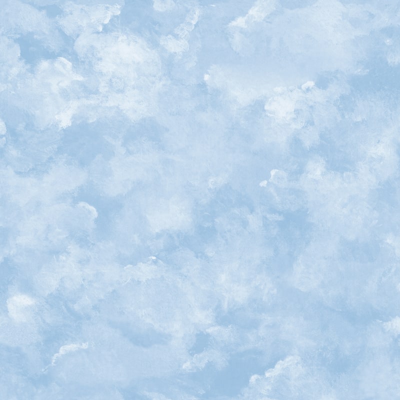 York Wallcoverings Blue Atrium Clouds Peel and Stick Wallpaper ...