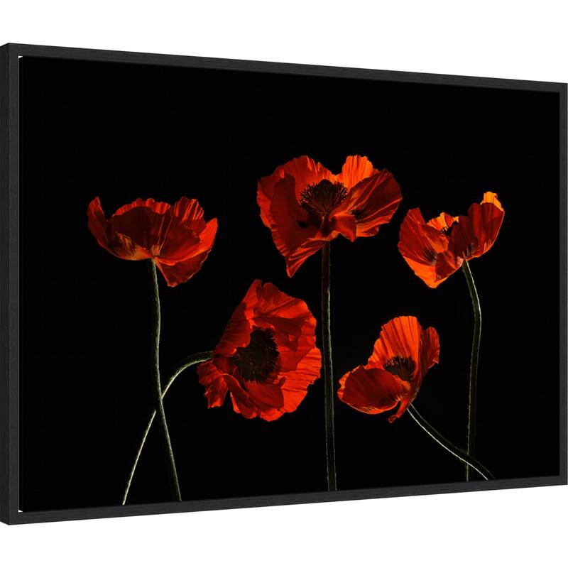 Five Red Poppies by Lydia Jacobs (33 x 23 in.), Framed Canvas Wall Art Print