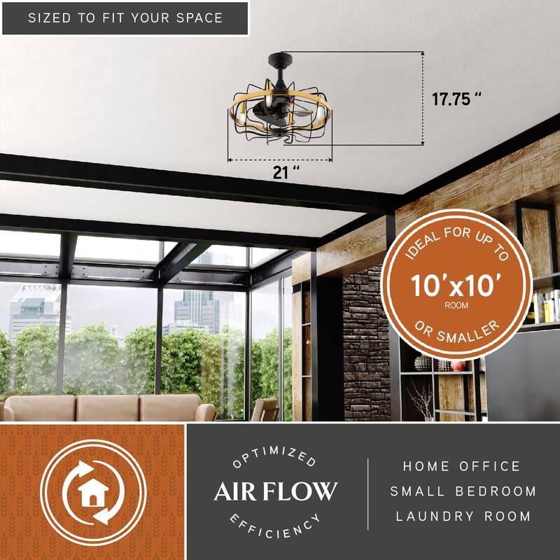 Kenton Black and Gold Satin Brass Contemporary 21-in. Fandelier Ceiling Fan with Cage Light Kit and Remote