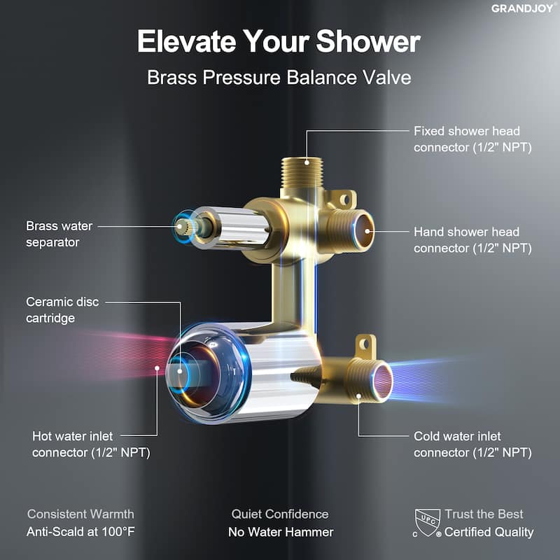 GRANDJOY 2-Function Rainfall Shower System with Handheld, Single Handle Wall-Mount Design
