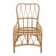 preview thumbnail 22 of 25, NPD Furniture Ayanna Modern Bohemian Rattan Dining Chair