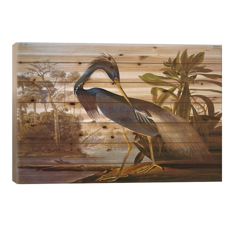 Louisiana Heron From "Birds of America" Print On Wood by John James Audubon - Multi-Color - 26x40x1.5