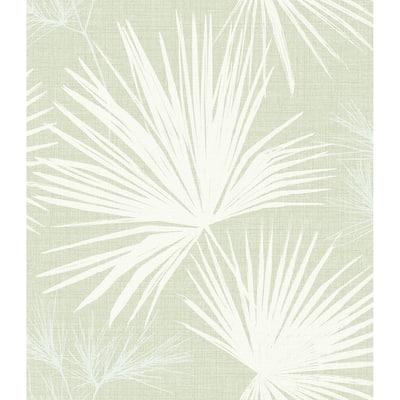 A-Street Prints Hatteras Light Green Palms Wallpaper
