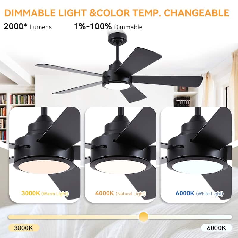 46 and 52 Inch Modern Ceiling Fan with LED and Remote 5 Plywood Dual Side Blades Remote and APP Control for Living Room Bedroom