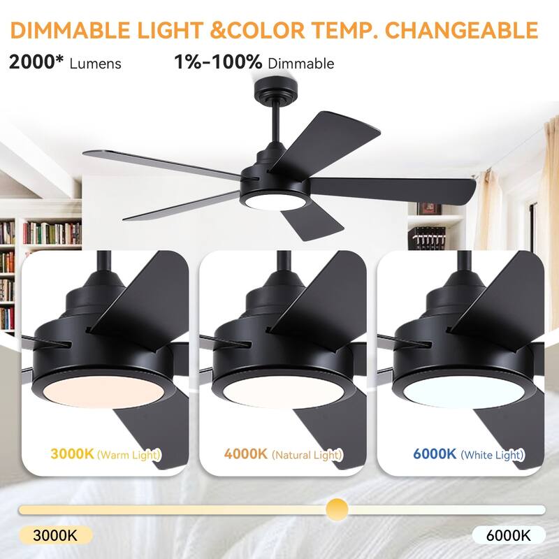 52" Modern Ceiling Fan with Light and Remote 5 Plywood Blades 3 Color LED for Bedroom Living Room Patio - 52 Inches