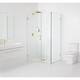 Option Polished Brass