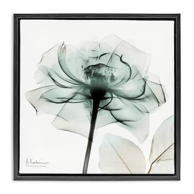 Stupell Transparent Flower Blossom Framed Floater Canvas Wall Art Design By Albert Koetsier