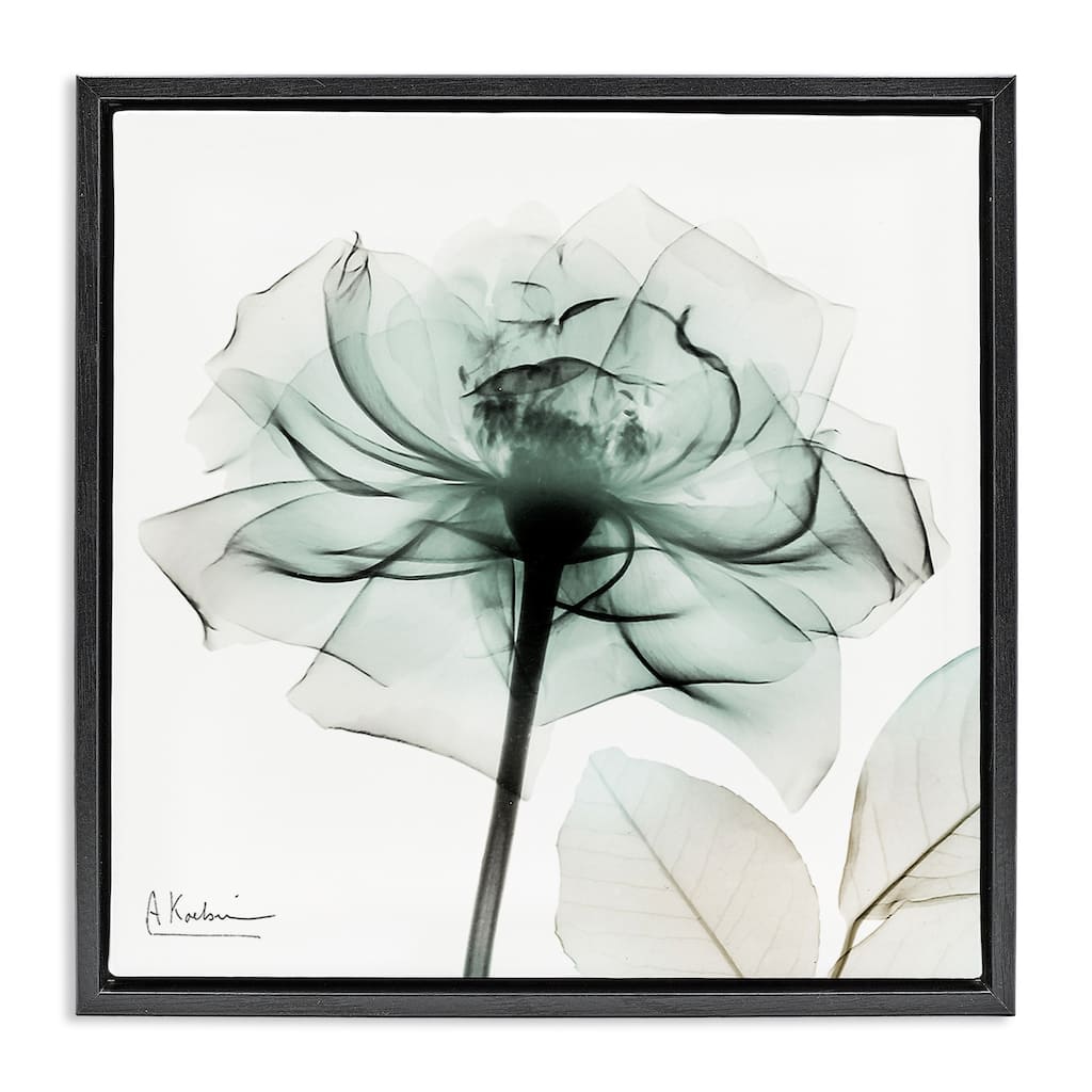 Stupell Transparent Flower Blossom Framed Floater Canvas Wall Art Design By Albert Koetsier