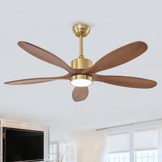 52-Inch Ceiling Fan with Light and 5 Wood Blades, Dimmable LED with Memory Function, DC Motor, IP65 Rated
