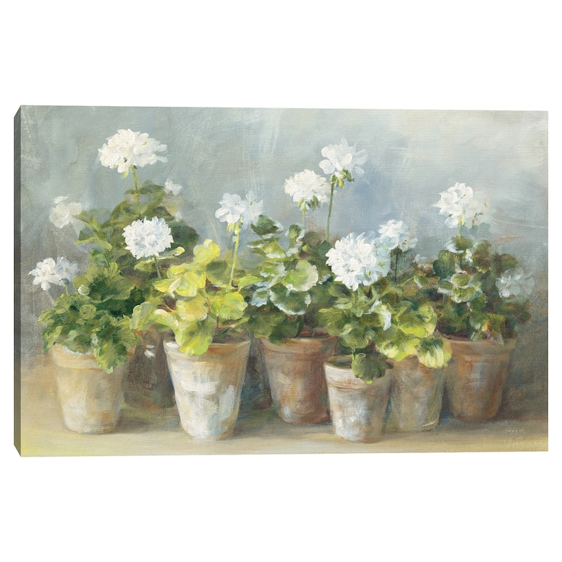 White Geraniums by Danhui Nai Canvas Art Print