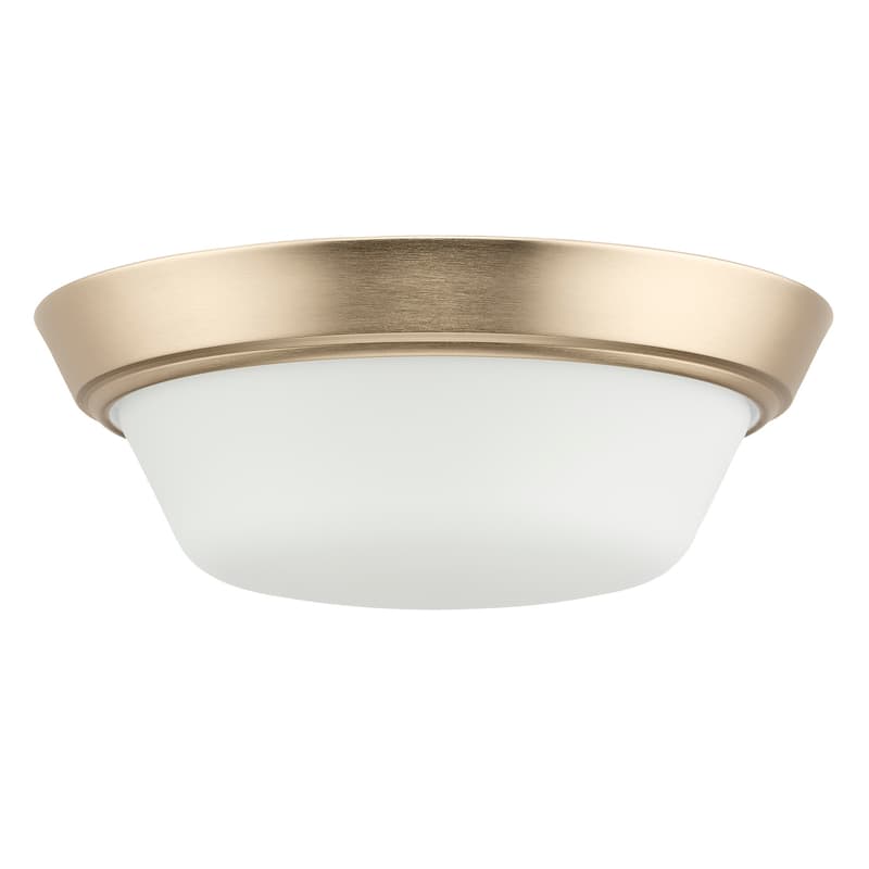 Progress Lighting P350303 Edessa 2 Light 13" Wide Flush Mount Bowl