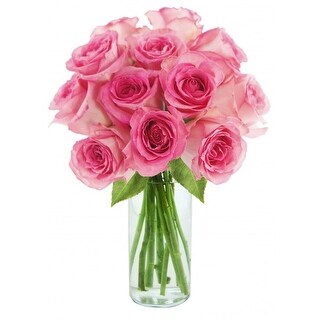 Shop Kabloom Sweet Pink Bouquet Of 12 Fresh Cut Pink