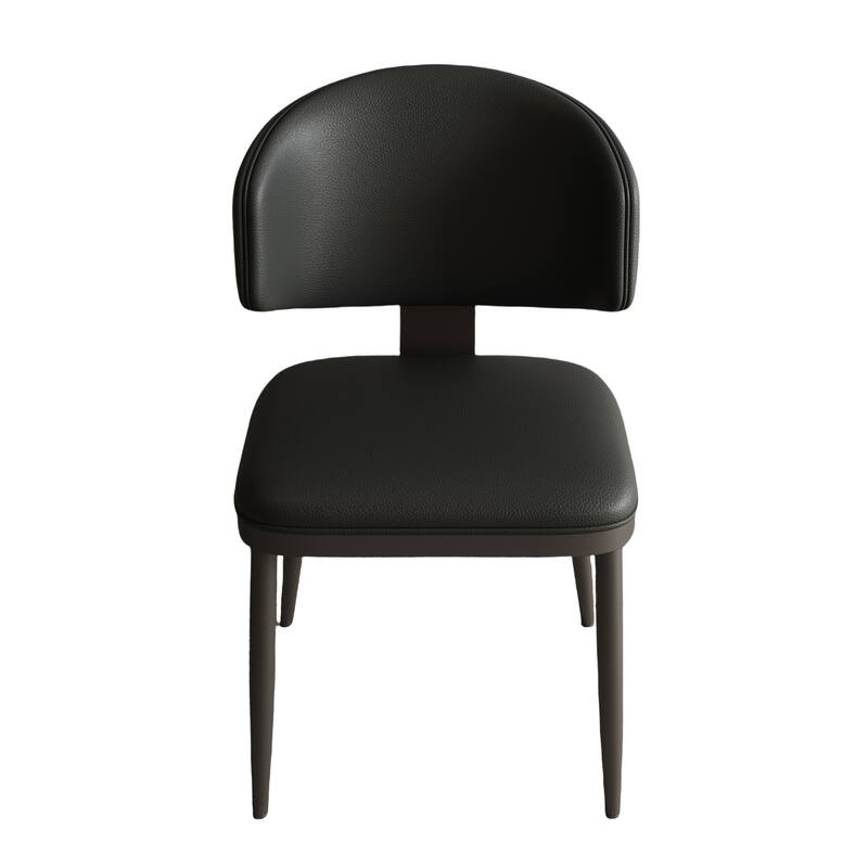 Ergonomic Dining Chairs with Cushioned Seat, Carbon Steel, Set of 2