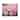 Stupell Pink Peony Budding Water Droplets Canvas Wall Art by Dennis Frates