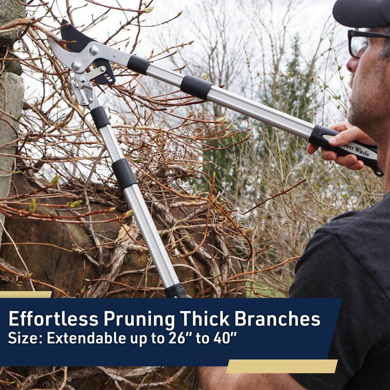 Tree Trimmer Loppers - Double Ratcheting Bypass Pruners - Extendable 26" - 40" Long Handles - by Kings County Tools