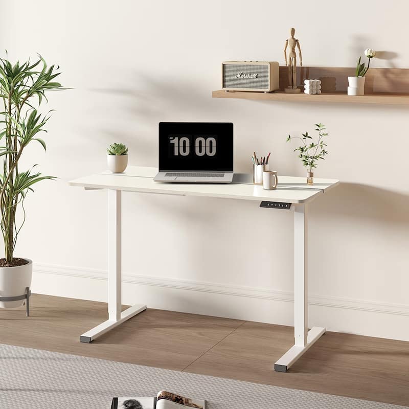 Electric Adjustable Standing Desk, 55x28-inch Home Office Workstation