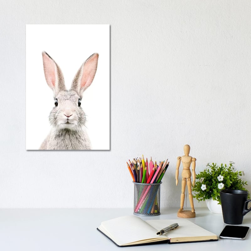iCanvas "Bunny" by Sisi & Seb Canvas Print - 12x8x0.75