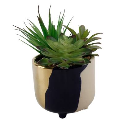 Succulent Garden IN 4.8" 3-TONE FOOTED CERAMIC POT,GREY - ONE-SIZE