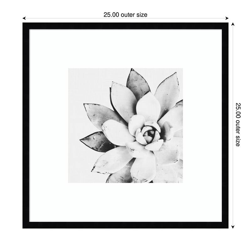Kate and Laurel Modern Succulent by Tai Prints Framed Wall Art Print