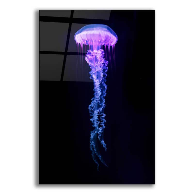 Epic Art 'Medusa,' Acrylic Glass Wall Art - 16x24