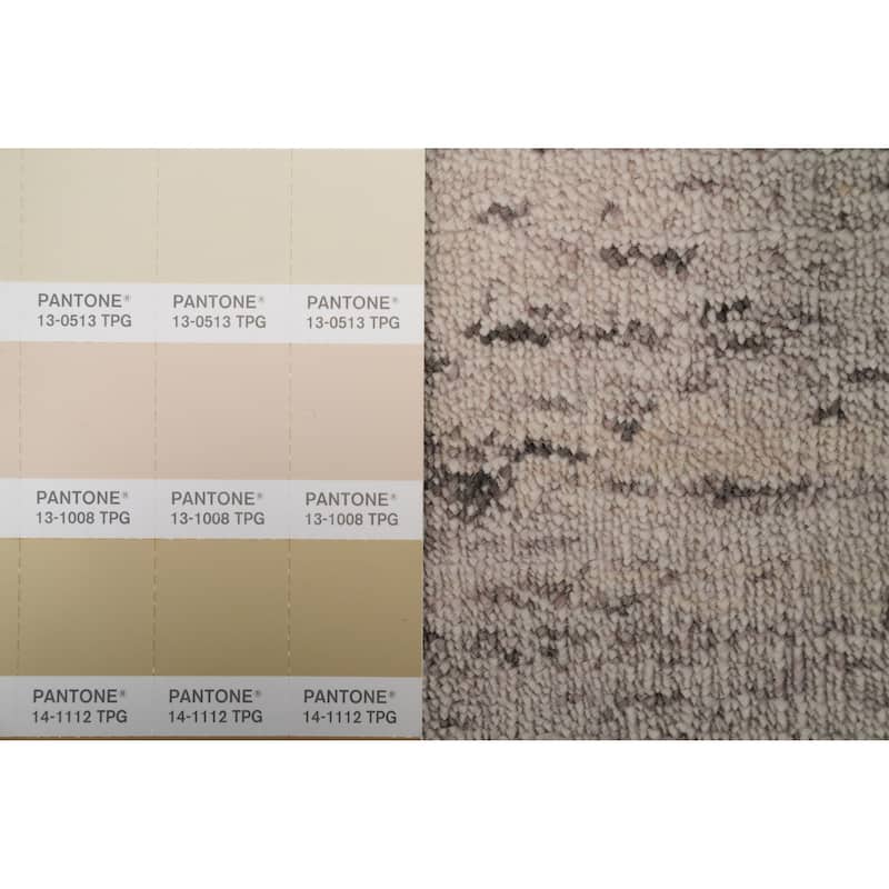 Hand Knotted Oriental 100% Wool Carpet Tribal Animal Pictorial Beige & Ivories Gabbeh Area Rug - 11' 10'' X 5' 1''