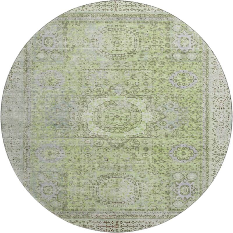 Premium Washable Super Soft Vintage Traditional Mayfield Rug