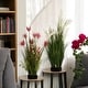 preview thumbnail 6 of 4, Enova Home Artificial Pampas Grass with Black Foam for Indoor Outdoor Decoration