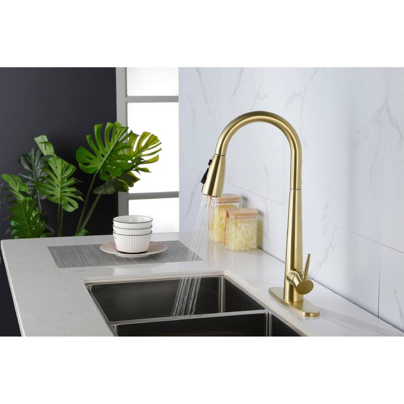 Single Handle Kitchen Sink Faucet with Pull Down Sprayer