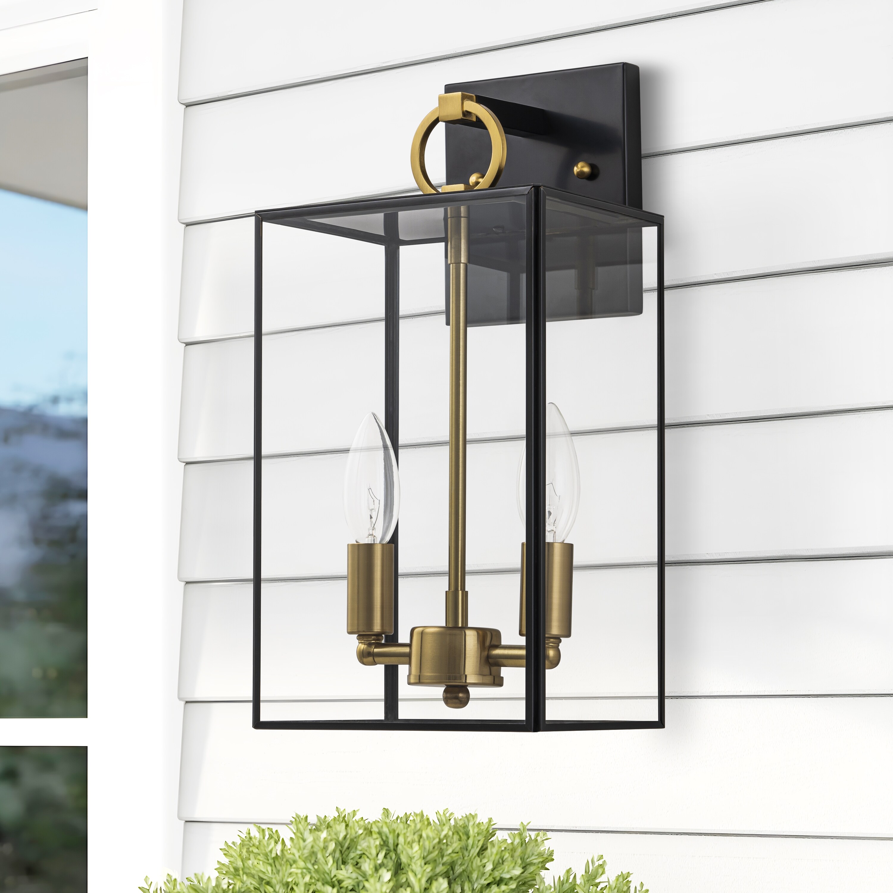 C-Cattleya-2-Light-Dark-Bronze