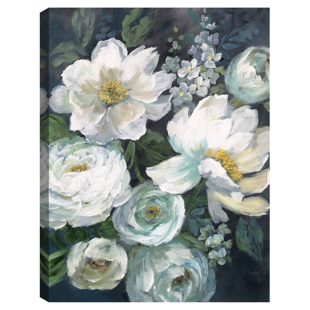 Nocturnal Radiance I by Nan Canvas Art Print