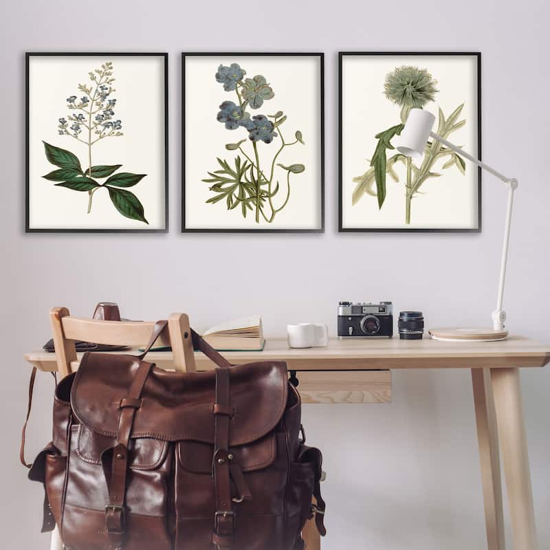 Stupell Vintage Blue Botanical Flowers on Beige, 3pc Multi Piece Framed Wall Art Set