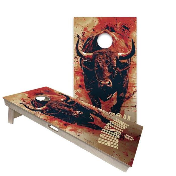 Houston Texans Regulation 2x4 Cornhole Board Set - All-Weather - Include Carrying Case