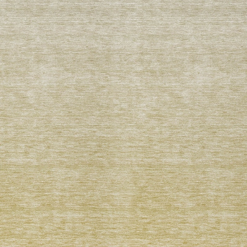 HomeRoots Ombre Transitional Rectangle Outdoor Rug