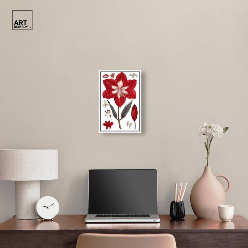 Amaryllis Anatomy Canvas by Art Remedy