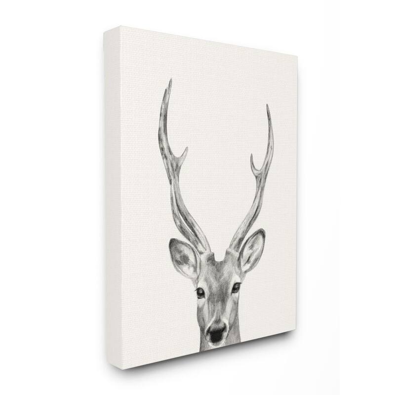 Stupell Deer Portrait Grey Drawing Design Canvas Wall Art - 30 x 40