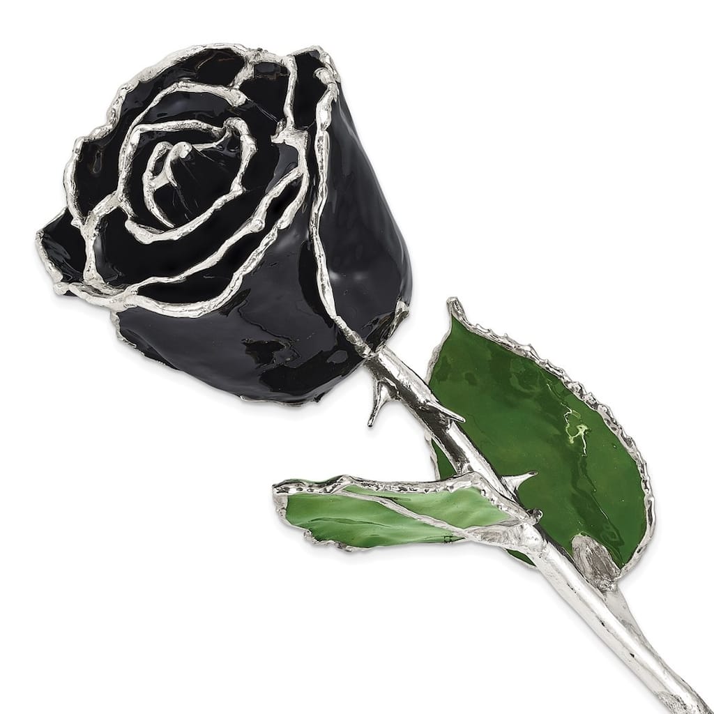 Curata Black Lacquer Dipped Silver Trimmed Real Rose Flower