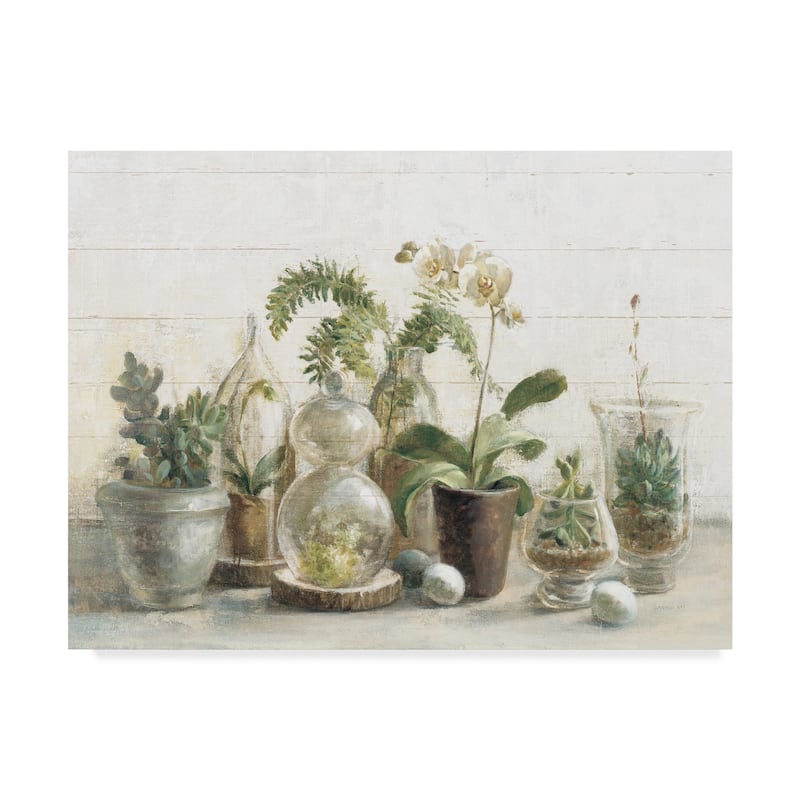 Danhui Nai 'Greenhouse Orchids on Shiplap' Canvas Art