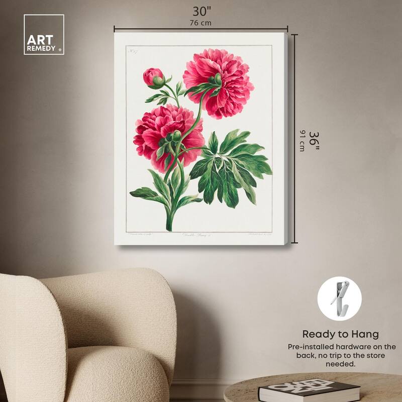 Double Peony (1789) Canvas by Art Remedy, Gallery Wrapped