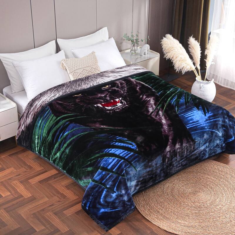 Raschel A&B Printed 2-ply Reversible Korean-style Plush Fleece Blanket