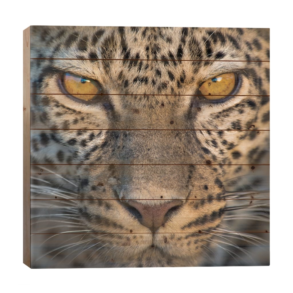 Leopard VII, Ndutu, Ngorongoro Conservation Area, Crater Highlands, Arusha Region, Tanzania Print On Wood by Panoramic Images
