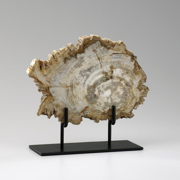 Cyan Design 02599 12" Medium Petrified Wood On Stand - Oak
