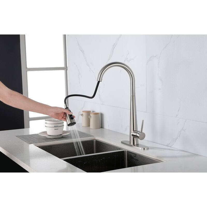 Modern Stainless Steel Kitchen Faucetswith Pull Down Sprayer
