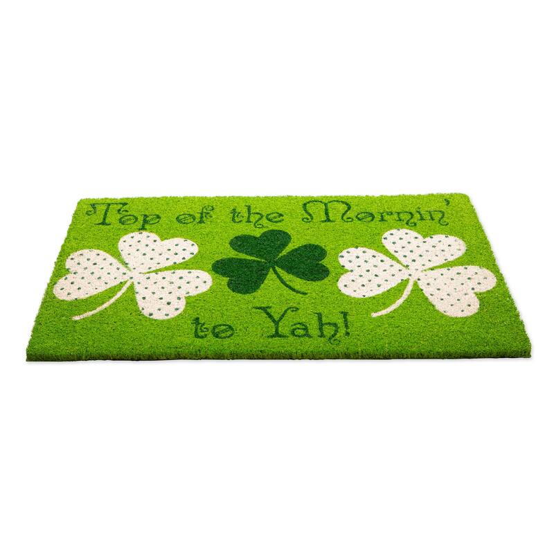 DII Seasonal Coir Doormat