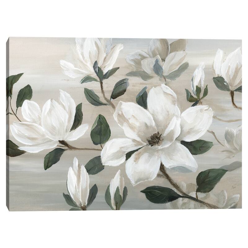 Southern Charm by Nan Canvas Art Print