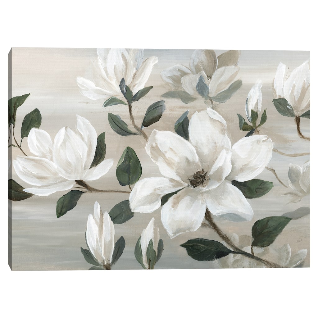 Southern Charm by Nan Canvas Art Print