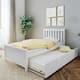 Max and Lily Twin Size Bed with Trundle